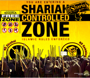 shariazone1